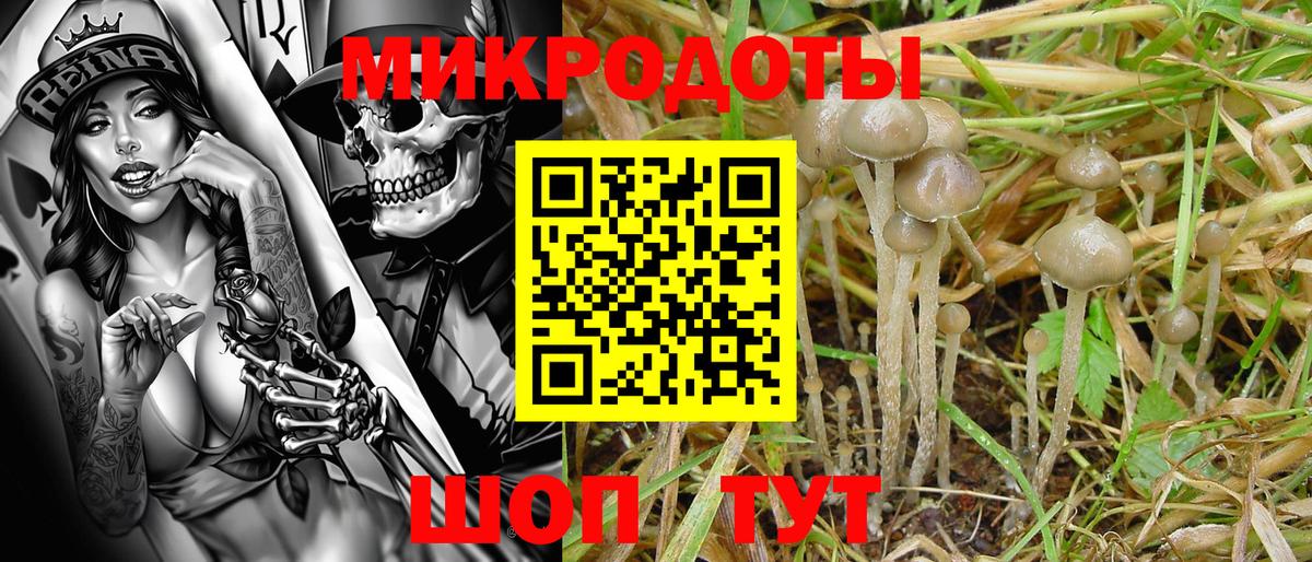 Костомукша  Галлюциногенные грибы GOLDEN TEACHER  Вход с VPN 