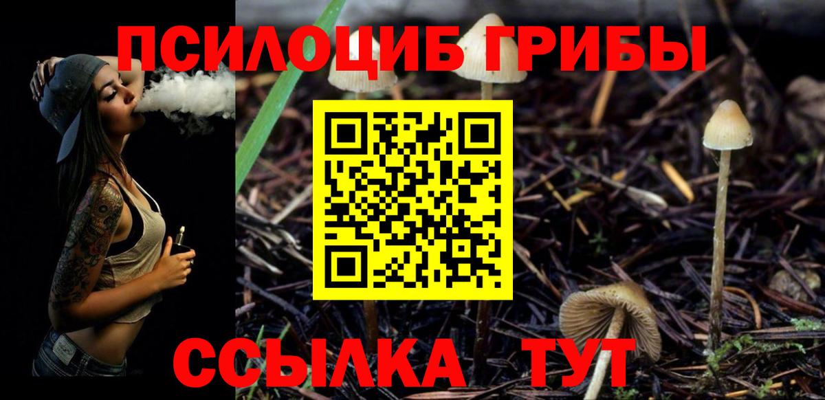 Галлюциногенные грибы MAGIC MUSHROOMS Костомукша